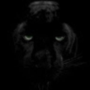 Meet your Posher, Donald